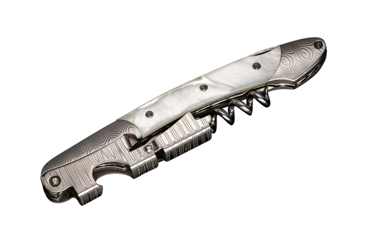 William Henry Gris Corkscrew