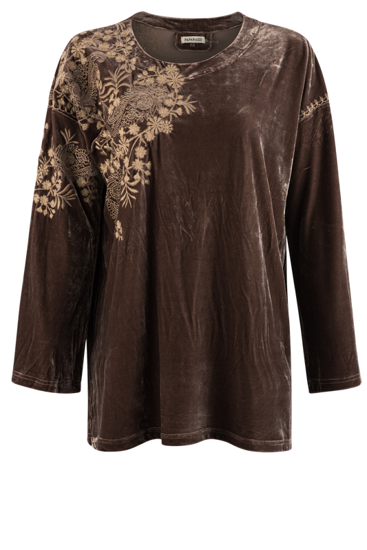 Paparazzi Embroidered Velvet Blouse