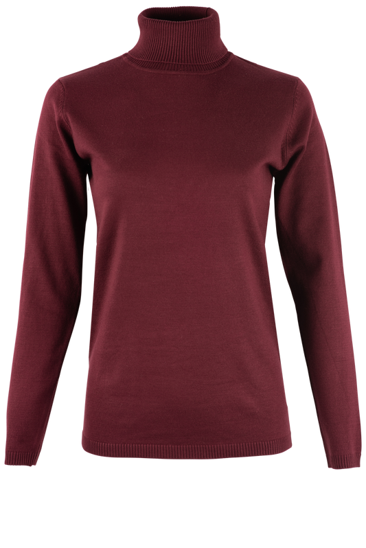 Metric Long Sleeve Turtleneck Sweater