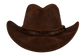 Bullhide Forsyth Chocolate Leather Hat