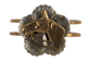 Erin Knight Bronze Horse Cuff