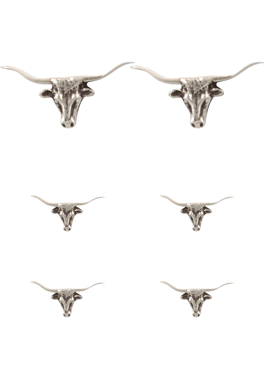 Pinto Ranch Silver Longhorn Cufflinks & Stud Set