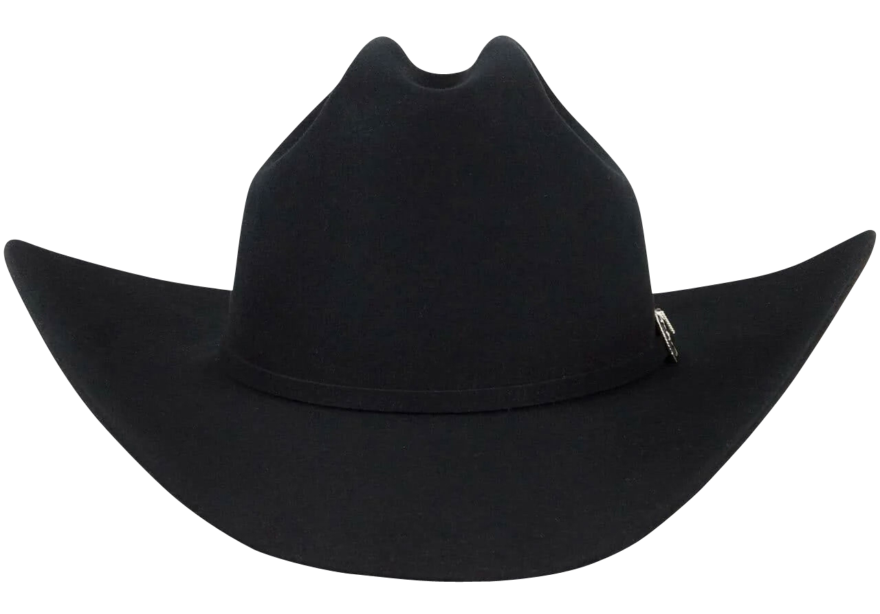 Stetson 6X Skyline Black Felt Cowboy Hat | lupon.gov.ph