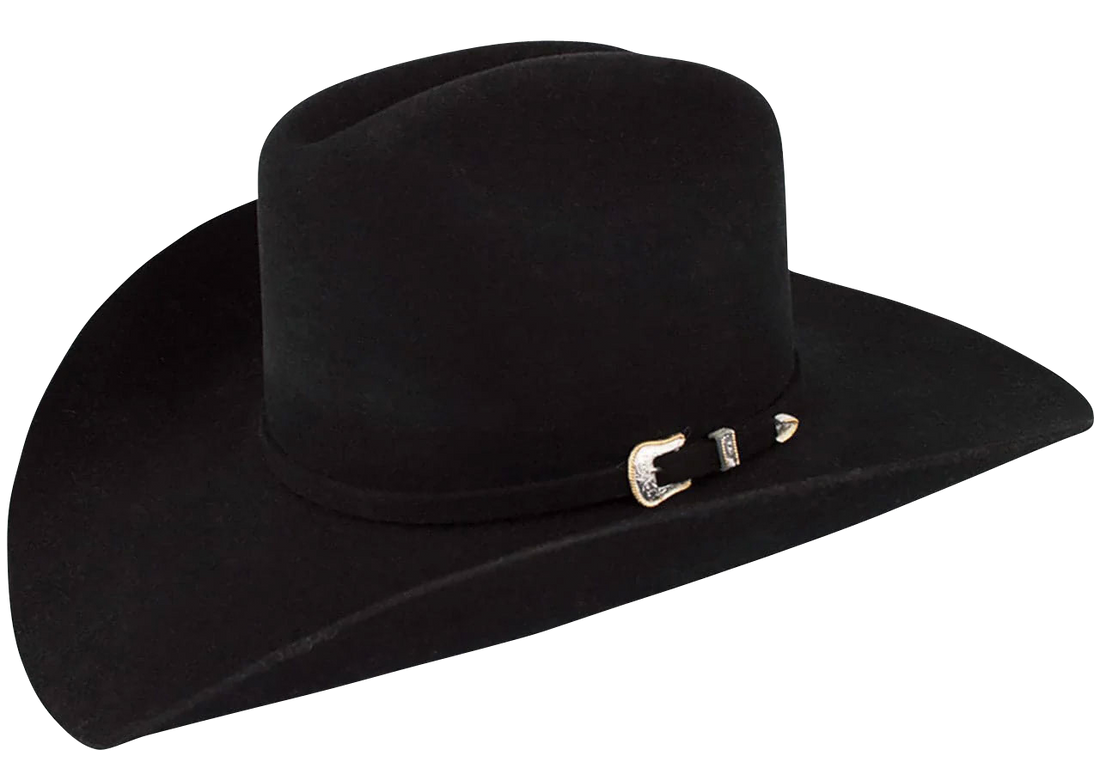 Stetson 3x Oakridge Felt Cowboy Hat Pinto Ranch