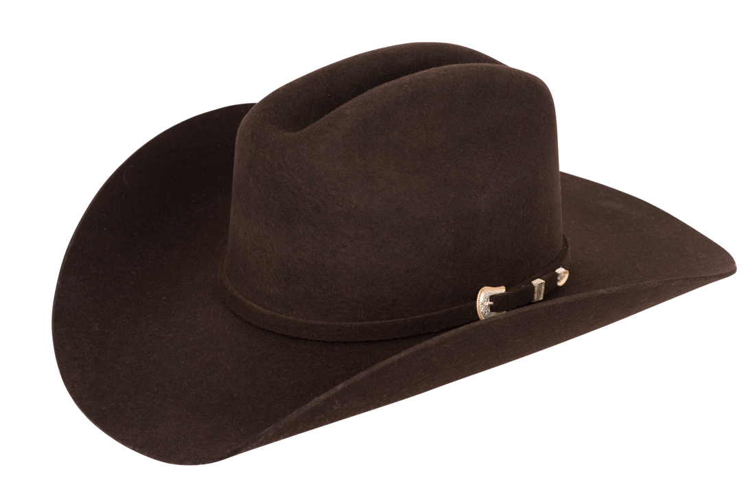 Stetson 3X Oakridge Felt Cowboy Hat Pinto Ranch